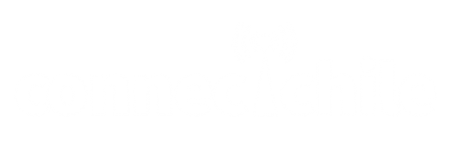 logofondonegroconnectchileweb